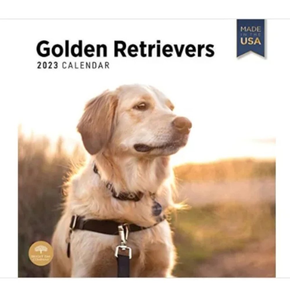 2023 Golden Retrievers Monthly Wall Calendar, Made in the USA 12" x 12"